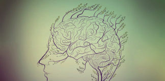 psychosis brain healing