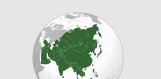 Mad in Asia: Towards Multiple Narratives for Inclusion Asia