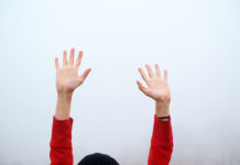 Lack of Efficacy for Current Physical Activity Interventions in Persons Diagnosed with Severe Mental Illness