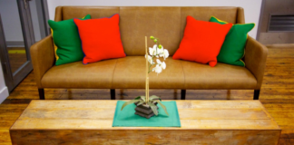 Finding a Therapist Who Understands Oppression and Intersectionality