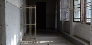 What Fanon Still Teaches Us About ‘Mental Illness’ in Post-Colonial Society