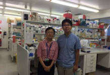 Antidepressants May Cause Antibiotic Resistance