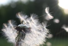 Letting Go by Ashleigh