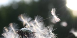 Letting Go by Ashleigh