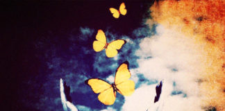 A Healing Journey: Leaving Psychiatry Behind butterflies healing