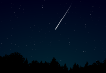 Reanalysis of STAR*D Study Suggests Overestimation of Antidepressant Efficacy