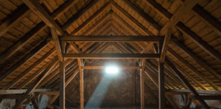Fighting for the Freedom to Hear Voices hearing voices attic