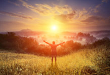 My Fight Against Antidepressants, Part III: Breaking Free freedom from antidepressants