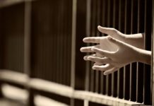 Neuroscientists Make a Case against Solitary Confinement