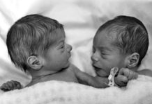 Twin Study Raises Doubts About >> Leon J Kamin 1927 2017 A Nemesis Of Genetic Determinism Twin Study Raises Doubts About >> Leon J Kamin 1927 2017 A Nemesis Of Genetic Determinism