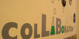 Collaboration with Consumers of Mental Health Services Improves Quality and Value of Research