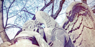 When Will We Wake? Reflections on Suicide and Psychotropic Medications suicide and psychotropic meds