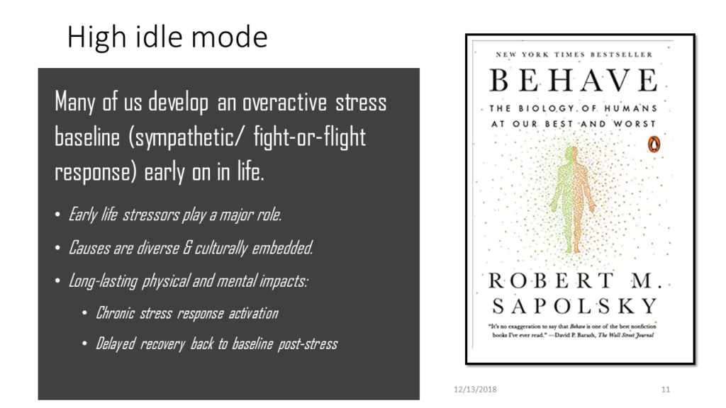 High idle mode Many of us develop an overactive stress baseline (sympathetic/ fight-or-flight response) early on in life. Early life stressors play a major role. Causes are diverse & culturally embedded. Long-lasting physical and mental impacts: Chronic stress response activation Delayed recovery back to baseline post-stress [Image of book cover:] Behave: The biology of Human at Our Best and Worst By Robert M. Sapolsky New York Times Bestseller