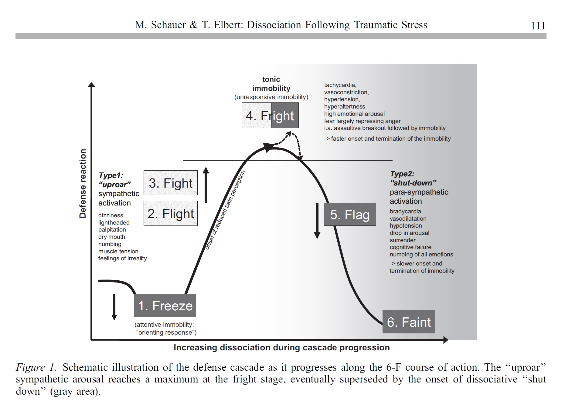 Figure 1. Schematic illustration of the defense cascade as it progresses along the 6-F course of action. The ‘‘uproar’’ sympathetic arousal reaches a maximum at the fright stage, eventually superseded by the onset of dissociative ‘‘shut down’’ (gray area). X-axis: Increasing dissociation during cascade progression Y-axis: Defense reaction 1. FREEZE (attentive immobility: “orienting response”) 2. FLIGHT & 3. FIGHT (onset of reduced pain perception) Type1: “uproar”-- Sympathetic activation (dizziness, lightheaded, palpitation, dry mouth, numbing, muscle tension,feelings of irreality)3. FIGHT 4. FRIGHT (peak of activation, beginning of descent) tonic immobility /unresponsive immobility (tachycardia, vasoconstriction, hypertension, hyperaltertness, high emotional arousa, fear largely repressing anger, i.a. assaultive breakout followed by immobility, -> faster onset and termination of the immobility) 5. FLAG & 6. FAINT Type 2: “shut-down”—Parasympathetic Activation (bradycardia, vasodilatation, hypotension, drop in arousal, surrender, cognitive failure, numbing of all emotions, -> slower onset and termination of immobility)