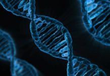 Large Rigorous Study Debunks Popular Gene-Environment Theory of Depression