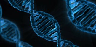 Large Rigorous Study Debunks Popular Gene-Environment Theory of Depression
