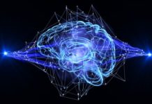 Neuroscientist: To Fight Opioid Addiction, Tackle Loneliness