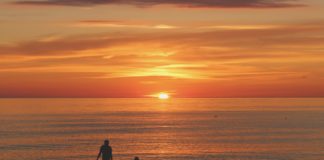 Reclaiming Humanity at the Dawn of Posthumanism: Conversation with Darcia Narvaez humanity at the dawn of posthumanism