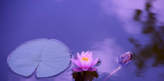 Pathways to Enhance Well-Being: Free Resource on Alternative Wellness Practices