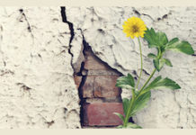 Paroxetine Paxil Seroxat SSRI Withdrawal