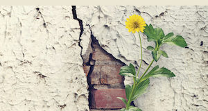 Paroxetine Paxil Seroxat SSRI Withdrawal