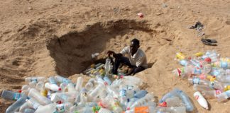 More Research Needed on Climate Change-Related Ecological Grief