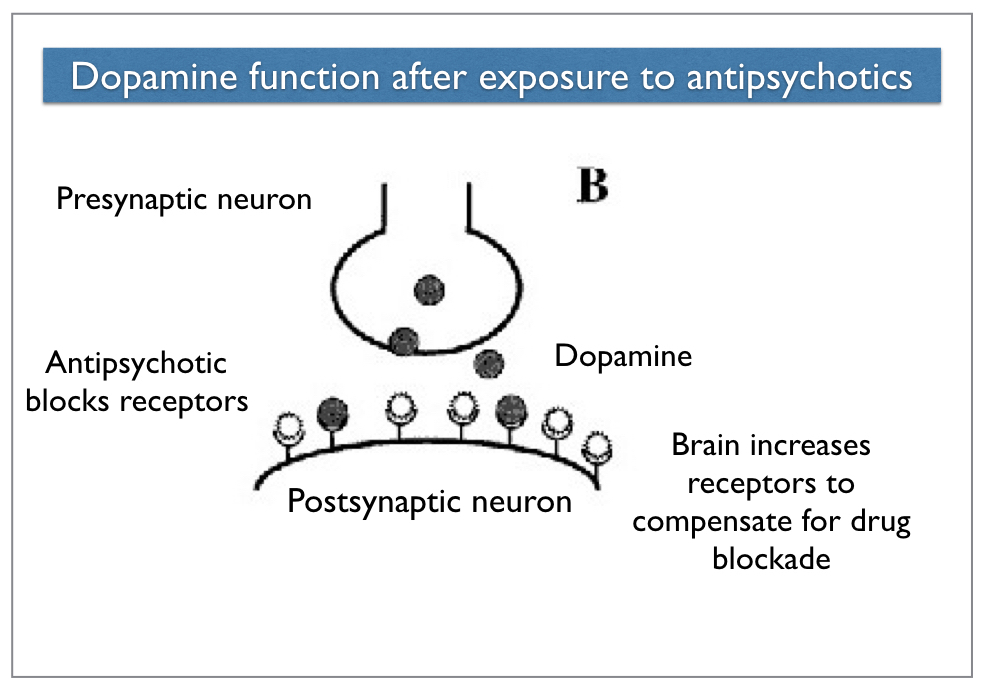 neurotransmitters in the brain drugs