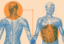 New Evidence for Brain-Gut Link in Depression and Quality of Life