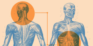 New Evidence for Brain-Gut Link in Depression and Quality of Life