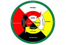 Look to the Medicine Wheel for Mental Health, First Nations Elders Advise