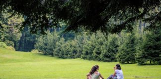Green Space in Childhood May Protect Against Adult Mental Health Issues