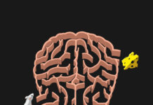 Researchers Fail to Replicate Evidence for “Biotypes” of Depression