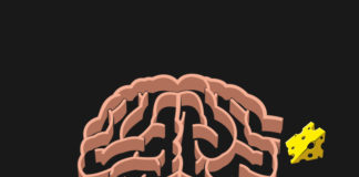 Researchers Fail to Replicate Evidence for âBiotypesâ of Depression