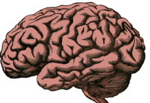 Study Linking Autism to ‘Male Brain’ Retracted, Replaced