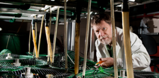 The Effects of Antidepressant Exposure Across Generations: An Interview with Dr. Vance Trudeau