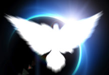 What I Have Learned from My Psychosis psychosis world peace