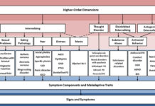 International Research Team Proposes a New Taxonomy of Mental Disorders