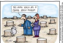 Young Koala With a Mental Health Problem