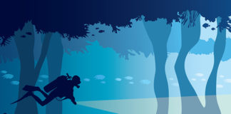 A Deeper Dive into System Change in the Mental Health Paradigm deep dive system change