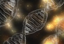 5-HTTLPR, the “Depression Gene”: A Pointed Review