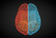 Today’s Biggest Threat: The Polarized Mind
