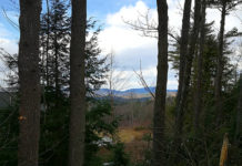 For the Record iatrogenic harm symptoms