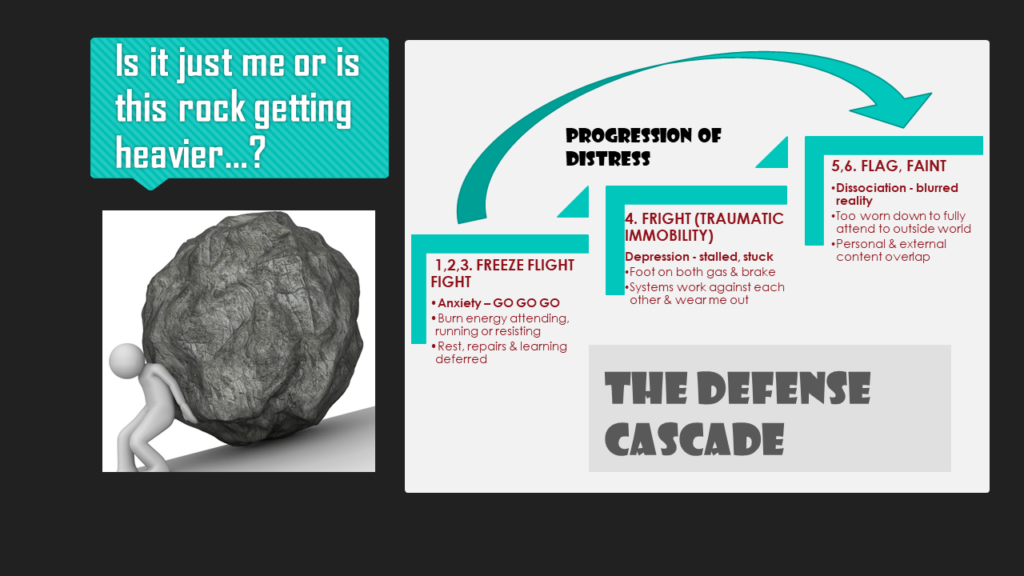 THE DEFENSE CASCADE Progression of Distress: 1,2,3. FREEZE FLIGHT FIGHT Anxiety – GO GO GO Burn energy attending, running or resisting Rest, repairs & learning deferred 4. FRIGHT (TRAUMATIC IMMOBILITY) Depression - stalled, stuck Foot on both gas & brake Systems work against each other & wear me out 5,6. FLAG, FAINT Dissociation - blurred reality Too worn down to fully attend to outside world Personal & external content overlap [Graphic: Guy pushing boulder up a hill talking to self, saying “Is it just me or is this rock getting heavier…?.” Retrieved from http://4.bp.blogspot.com/-Yb1qHHYlqYo/T2eYHgywpcI/AAAAAAAAAFk/Ld8ZI6ByPb0/w1200-h630-p-k-no-nu/la+cultura+del+esfuerzo.jpg]