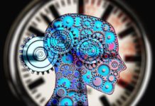 Psychology, Meet Politics: Two Sides of the Same Coin