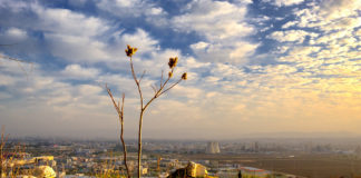 How Community Environments Impact Mental Health