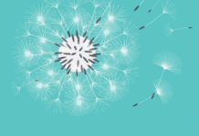 We’ve Been Too Patient: Voices from Radical Mental Health radical mental health