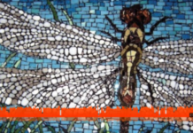 Dr. Gabor Maté on Alienation, Inner Resilience, and Our True Nature