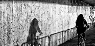 Experiences of Bullying May Explain “Paranoia” in Sexual Minorities