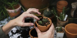 Psychiatrist Offers Ecological Model for Psychotherapy