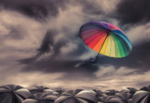 Collaborative Strategies for Re-Visioning the Public Mental Health System re-visioning public mental health system